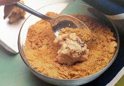 Coating Crunchy Date Rounds Cookies Coating Crunchy Date Rounds Cookies