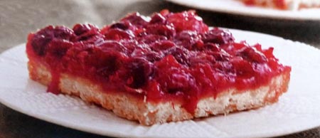 Homemade Cranberry Squares