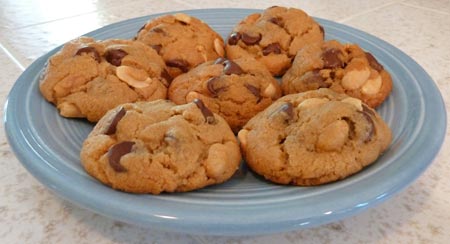 Flourless Peanutty Chocolate Chip Cookies