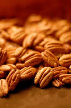 Fresh Pecans